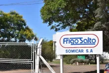 Negociaciones avanzadas para reactivar plantas frigorificas en Salto tras anuncio del intendente Carlos Albisu
