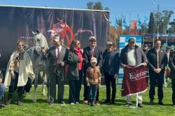 Rural del Prado 2025: genética, tradición y los primeros  Grandes Campeones equinos de la muestra