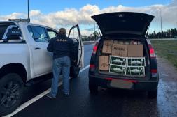 Operativos en distintos puntos del país, logran incautar mercadería 
