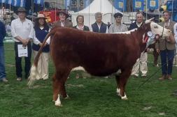 Las Anitas y Romay Elorza triunfaron en pista Hereford