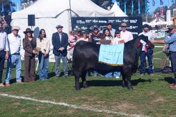 Korapí presentó la Gran Campeona Brangus en el Prado