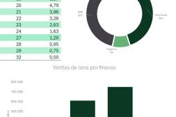 En octubre se informó la venta de un 16% más de lana que en 2024