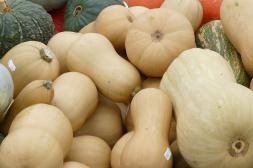 Zapallos y calabacines con precios estables y más calidad en la oferta
