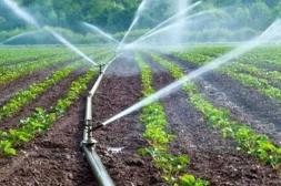 DIGEGRA realizará talleres sobre riego en la granja