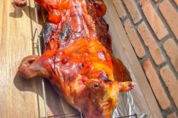 Latidos: Venta en redes, en recuperación y más...