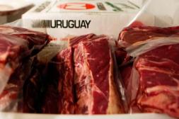 Faena vacuna repunta en la primera semana de noviembre