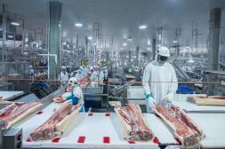 Faena de vacunos bajó pese a la ventana de cuota 481