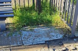 Latidos: Microcentro entre malezas,promesas incumplidas y más...