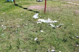 Latidos: Venta callejera, delivery lento y más...