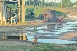 Látidos: Agua estancada, patinetas por la vereda y más...
