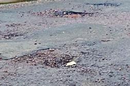 Látidos: asfalto en mal estado, tomates en la vereda y más...