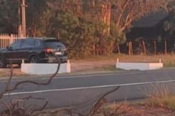 Latidos: Basurales, maleza citadina y más...