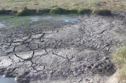 Inumet descartó que se pueda dar  una sequía histórica como en 2023