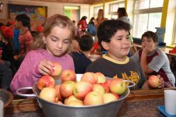 Proyectos en las “Escuelas de Verano” se focalizan en propuestas lúdico-educativas y alimentación saludable