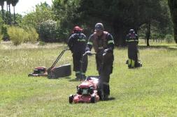 Intendencia: Espacios Verdes  incorporó nueva maquinaria 