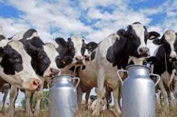 Gremiales lecheras rechazan dichos de Fratti sobre deuda de Venezuela