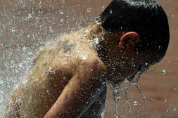 Ola de calor: emiten una serie de recomendaciones para evitar que se convierta en problema de salud