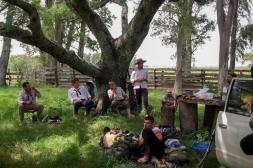 Se organiza una nueva marcha e  izado de bandera en Arerunguá