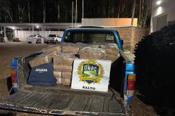 Incautaron más de una tonelada  de pollos de contrabando en Salto