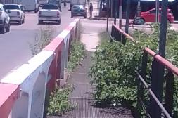 Latidos: Puente inválido, ciclovías transitadas y más...