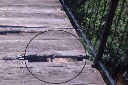 Látidos: Puente con agujeros, fuera de servicio y más...