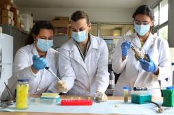 Ambiente envió muestras de agua con "toxicidad" del río Uruguay al Clemente Estable tras erupción en bañistas