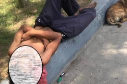 Látidos: Refugio de verano, arriesgados, malos olores y más...