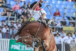 Presentan una nueva edición del gran  Festival de Jineteadas en "El Casarón"