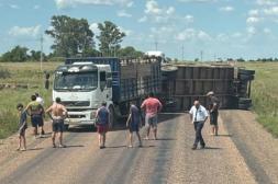 Mueren varios animales tras el  vuelco de un camión de ganado