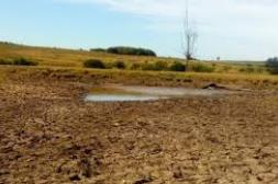 BROU aprobó asistencia a productores afectados por la sequía