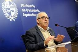 Reacción del ministro Fratti a cuota china: desde “no es grave” a una “noticia positiva”