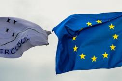 La mejora de acceso para la carne vacuna del Mercosur tras acuerdo con Unión Europea