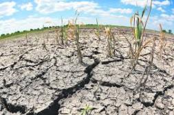 Alivio fiscal para el campo: El Gobierno prorroga el pago de aportes patronales en ocho departamentos por déficit hídrico