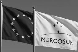 Federación Rural plantea que la cuota cárnica del acuerdo UE-Mercosur se negocie “primero entre privados”