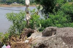 Latidos: Basura en la costa,engorroso y más...