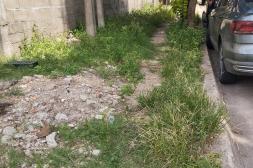 Latidos: Calles desprolijas, changas necesarias y más...