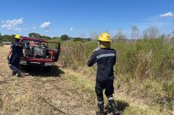 Cecoed informó sobre incendio que  afectó más de 30 hectáreas de campo