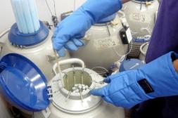 En Uruguay existirían alrededor de 40 mil embriones humanos congelados y un 10% están "abandonados"