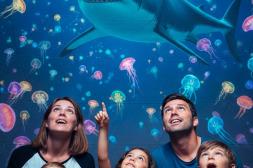 El Planetario Móvil 360° llega a  Salto con apoyo de Intendencia