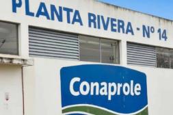 Impacto laboral en norte del  país por cierre de planta láctea