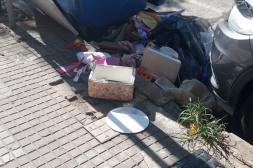 Latidos: No puede pasar, pediculosis y más...