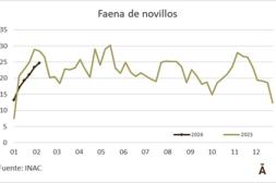 La faena de vacunos fue la mayor en 11 semanas