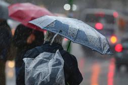 Alivio para el agro: anuncian  más lluvia para próximos días 