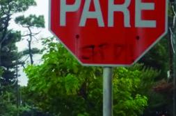 Latidos: A tener en cuenta, un caos y más...