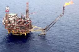 Diputado exige mediante pedido de informe transparencia sobre impacto de prospección sísmica en el mar uruguayo