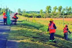 Previo a Semana de Turismo:  podas y limpieza sobre Ruta 3