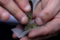 Secretaría de Drogas destaca una "drástica caída del narcotráfico” 