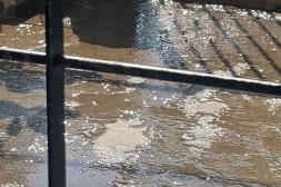 Latidos: Inoperancia de OSE, No más palco y más...