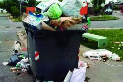 Latidos: No hay mejora, unidades sucias y más...