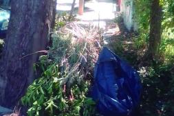 Látidos: Veredas obstruídas, Merodeando cajeros y más...